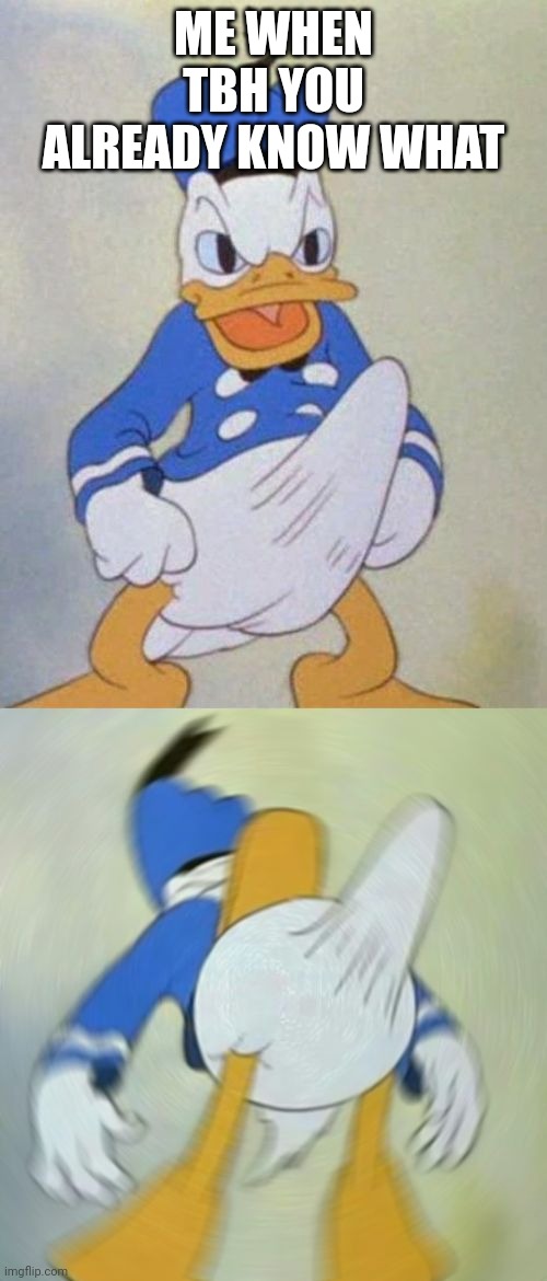 donald duck boner | ME WHEN TBH YOU ALREADY KNOW WHAT | image tagged in donald duck boner | made w/ Imgflip meme maker