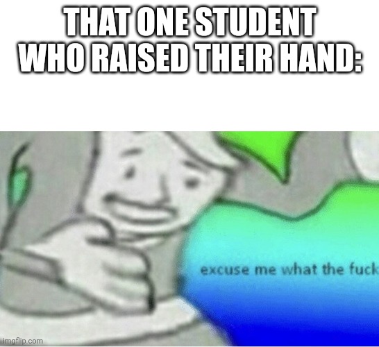 Excuse me wtf blank template | THAT ONE STUDENT WHO RAISED THEIR HAND: | image tagged in excuse me wtf blank template | made w/ Imgflip meme maker