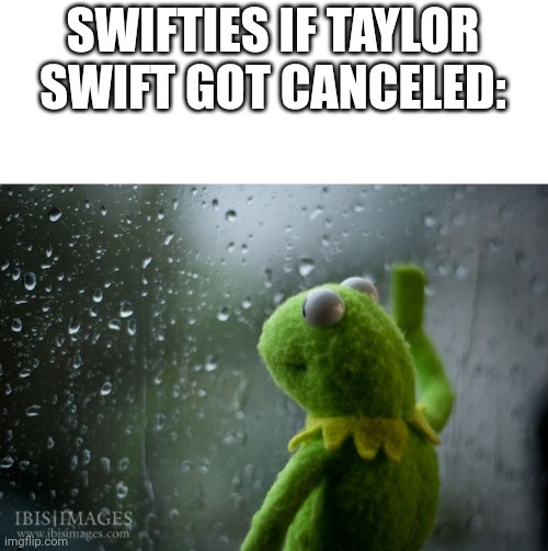 kermit window | SWIFTIES IF TAYLOR SWIFT GOT CANCELED: | image tagged in kermit window | made w/ Imgflip meme maker