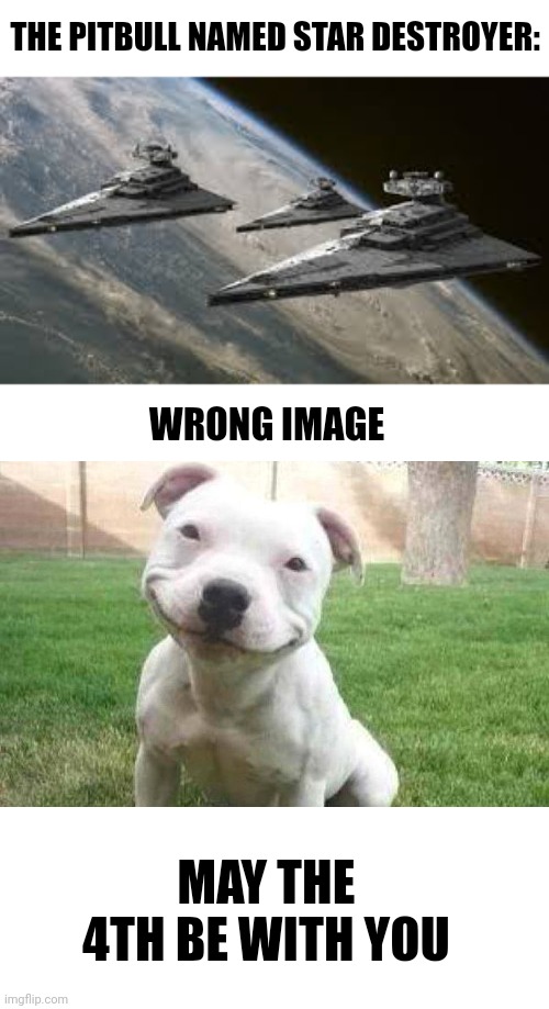 Happy May 4th | THE PITBULL NAMED STAR DESTROYER:; WRONG IMAGE; MAY THE 4TH BE WITH YOU | image tagged in empire star destroyers,smiling pitbull,memes,funny,may the 4th,star wars | made w/ Imgflip meme maker