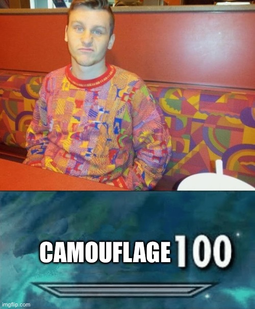 Camouflage | CAMOUFLAGE | image tagged in skyrim skill meme | made w/ Imgflip meme maker