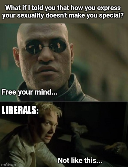 What if I told you that how you express your sexuality doesn't make you special? Free your mind... LIBERALS:; Not like this... | image tagged in memes,matrix morpheus | made w/ Imgflip meme maker