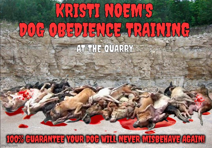 Kristi Noem's Dog Obedience Training | KRISTI NOEM'S
DOG OBEDIENCE TRAINING; AT THE QUARRY; 100% GUARANTEE YOUR DOG WILL NEVER MISBEHAVE AGAIN! | image tagged in kristi noem,puppy killer,dog killer,cricket | made w/ Imgflip meme maker