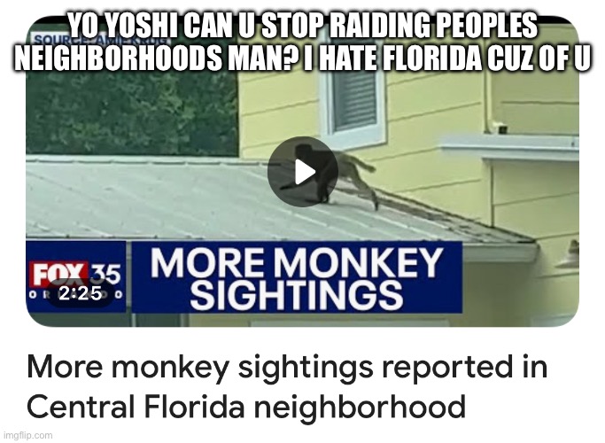 CLEARLY A JOKE | YO YOSHI CAN U STOP RAIDING PEOPLES NEIGHBORHOODS MAN? I HATE FLORIDA CUZ OF U | made w/ Imgflip meme maker