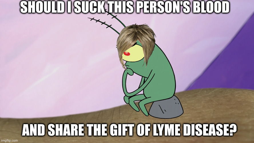 Tick deep thoughts | SHOULD I SUCK THIS PERSON'S BLOOD; AND SHARE THE GIFT OF LYME DISEASE? | image tagged in thinkton,memes,tick,moral dilemma,gifts that keep giving,disease | made w/ Imgflip meme maker
