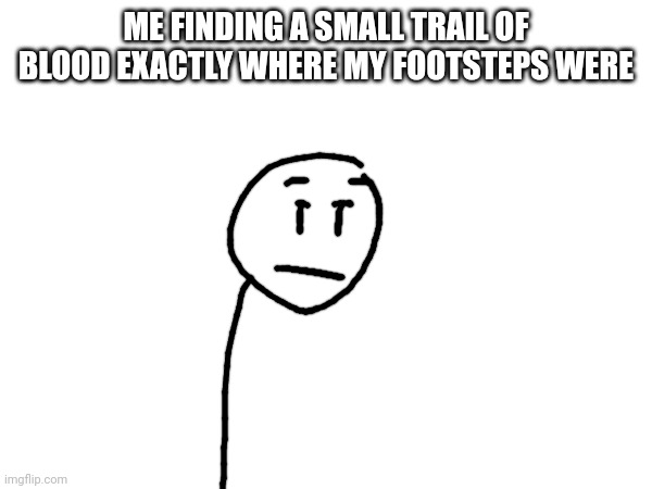Me sometime before may 2023 | ME FINDING A SMALL TRAIL OF BLOOD EXACTLY WHERE MY FOOTSTEPS WERE | image tagged in l1ml4m,l1m_l4m | made w/ Imgflip meme maker