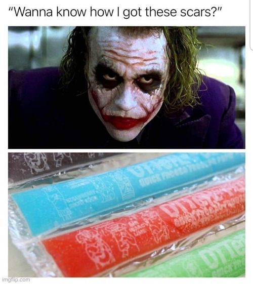 You wanna know how I got these scars? | image tagged in the joker,funny,heath ledger | made w/ Imgflip meme maker