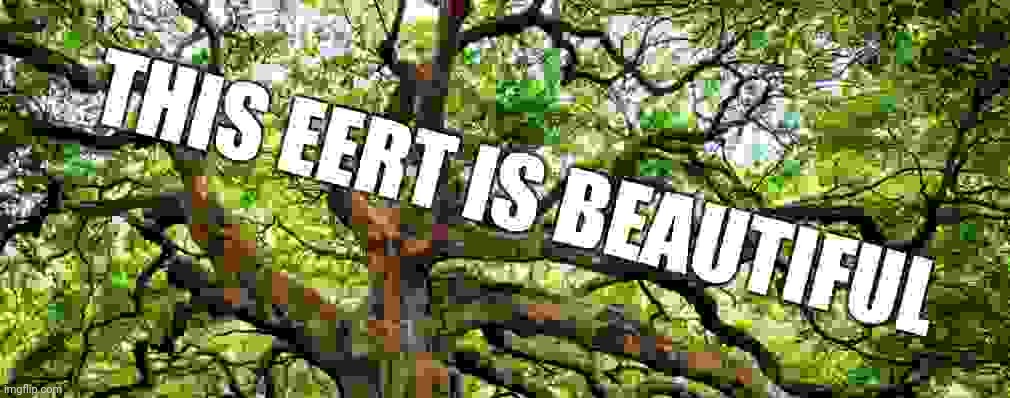 This eert is beautiful | made w/ Imgflip meme maker