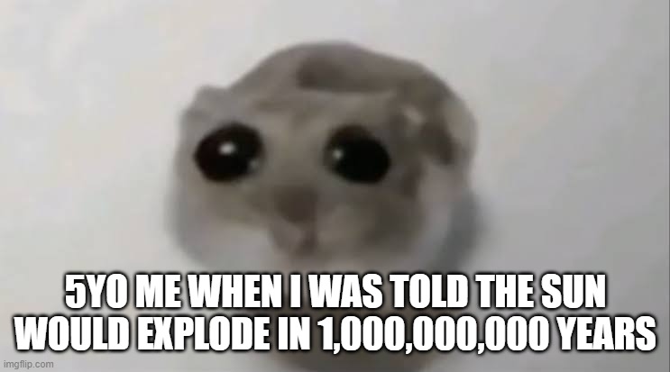 Hampter | 5YO ME WHEN I WAS TOLD THE SUN WOULD EXPLODE IN 1,000,000,000 YEARS | image tagged in sad hamster | made w/ Imgflip meme maker