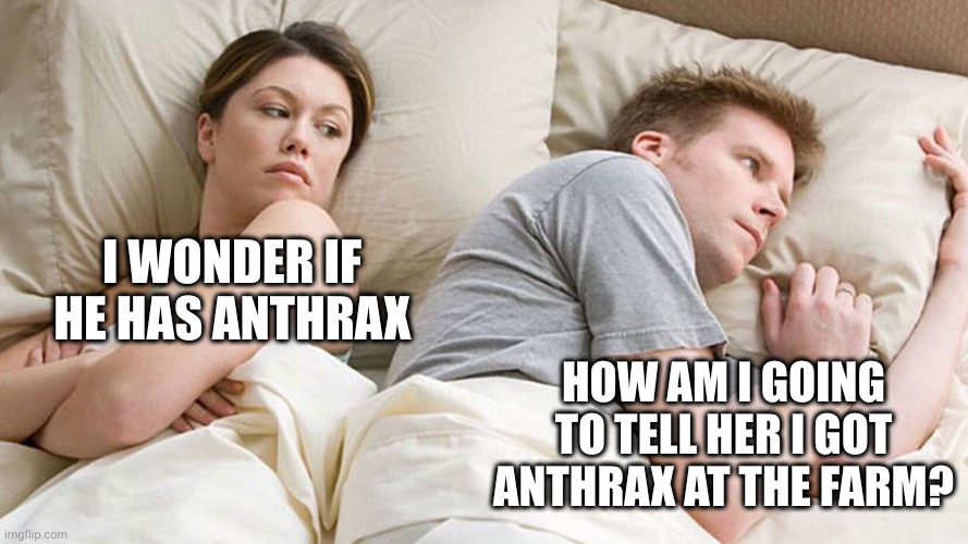 We're thinking the Same Thing! | I WONDER IF HE HAS ANTHRAX; HOW AM I GOING TO TELL HER I GOT ANTHRAX AT THE FARM? | image tagged in couple in bed,anthrax,memes,infection,farm life,livestock | made w/ Imgflip meme maker