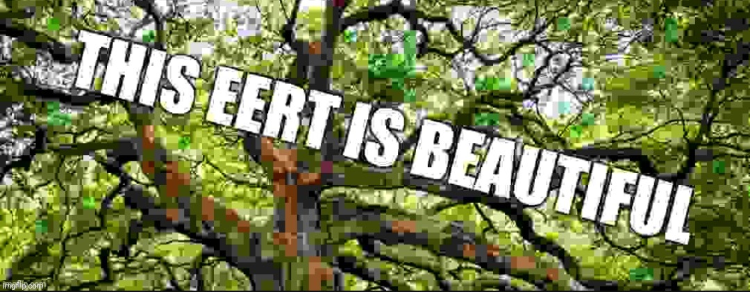 This eerT is beautiful | image tagged in this eert is beautiful | made w/ Imgflip meme maker