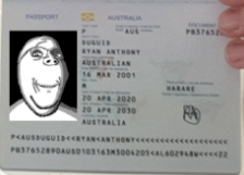 Soyjak passport Blank Meme Template