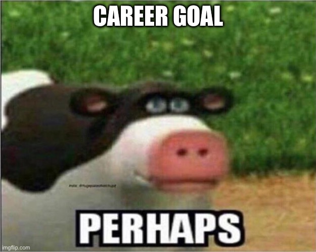 CAREER GOAL | image tagged in perhaps cow | made w/ Imgflip meme maker