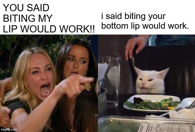 Woman Yelling At Cat | YOU SAID BITING MY LIP WOULD WORK!! i said biting your bottom lip would work. | image tagged in memes,woman yelling at cat | made w/ Imgflip meme maker