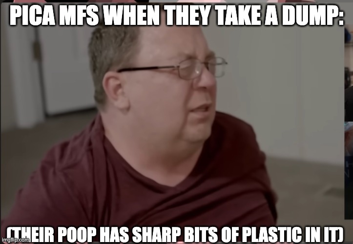 TCAP Jerry | PICA MFS WHEN THEY TAKE A DUMP:; (THEIR POOP HAS SHARP BITS OF PLASTIC IN IT) | image tagged in tcap jerry,pica,dump,poop,funny,meme | made w/ Imgflip meme maker