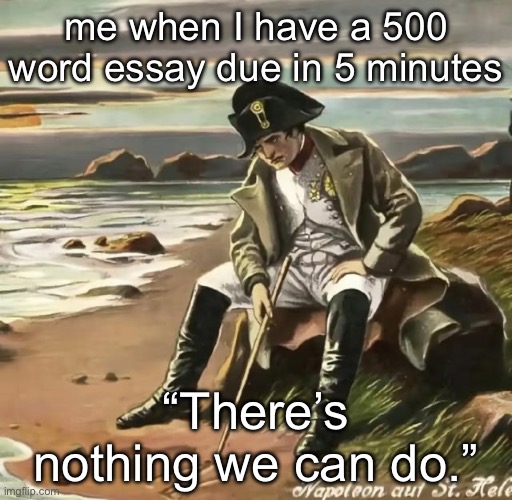 There’s nothing we can do. | me when I have a 500 word essay due in 5 minutes; “There’s nothing we can do.” | image tagged in napoleon | made w/ Imgflip meme maker