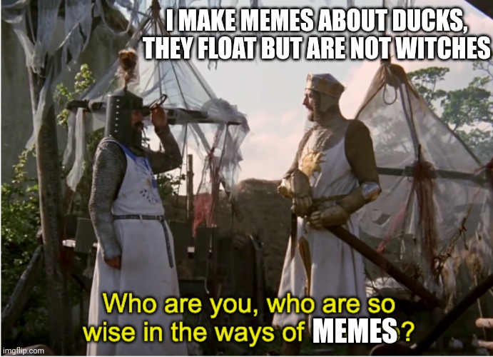 Monty Python Science | I MAKE MEMES ABOUT DUCKS, THEY FLOAT BUT ARE NOT WITCHES MEMES | image tagged in monty python science | made w/ Imgflip meme maker