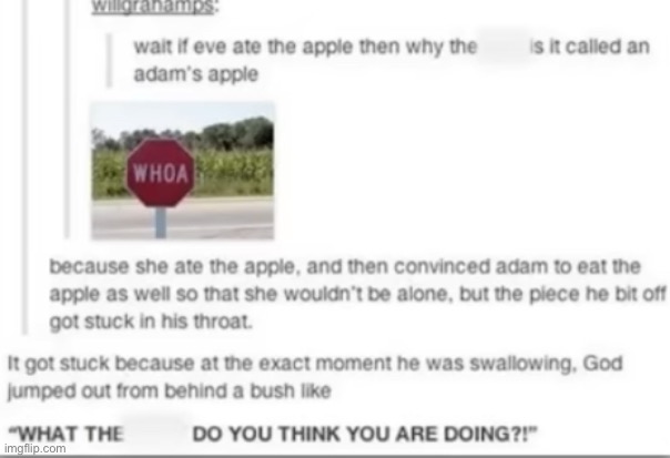 How the Adam’s Apple was made | image tagged in adam and eve | made w/ Imgflip meme maker
