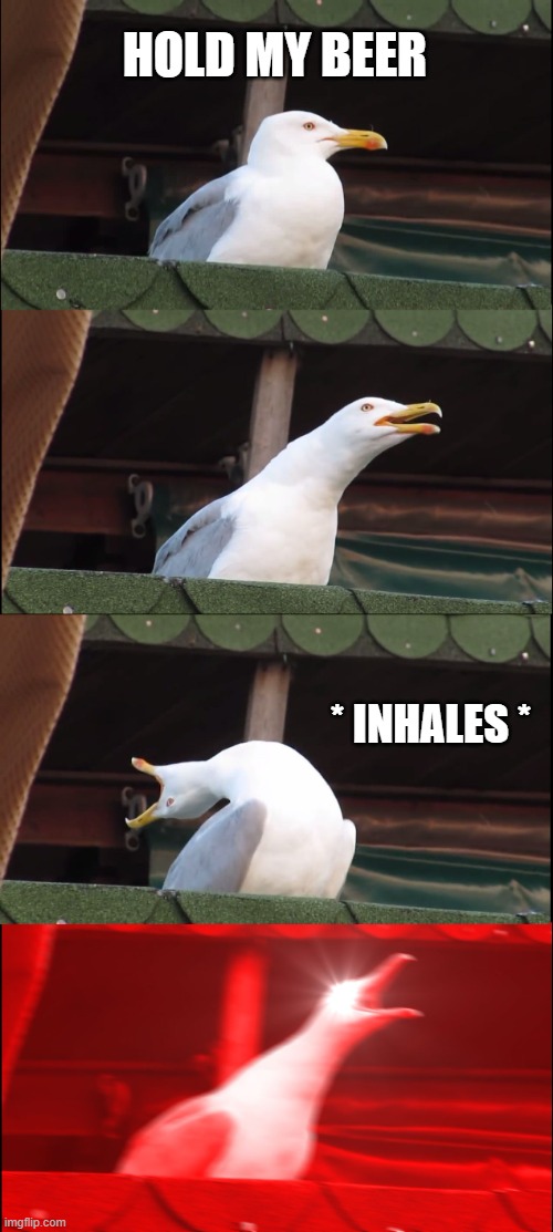 Inhaling Seagull Meme | HOLD MY BEER * INHALES * | image tagged in memes,inhaling seagull | made w/ Imgflip meme maker