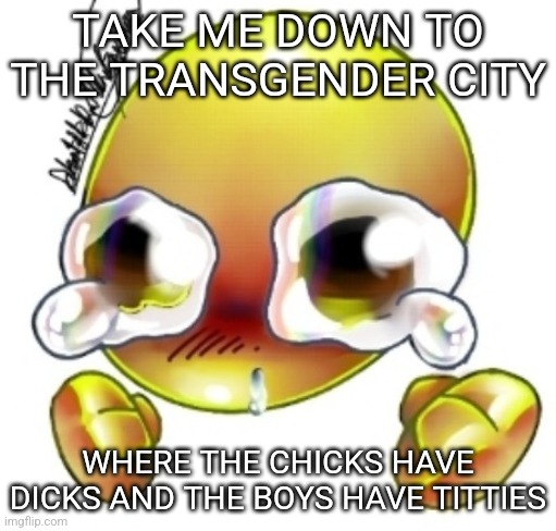 I don't expect a single person to get this joke | TAKE ME DOWN TO THE TRANSGENDER CITY; WHERE THE CHICKS HAVE DICKS AND THE BOYS HAVE TITTIES | image tagged in ggghhhhhghghghhhgh | made w/ Imgflip meme maker