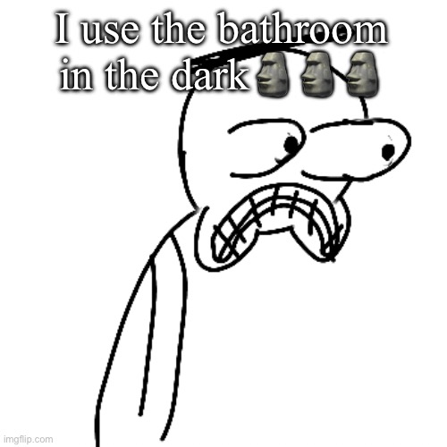 I'm WAY too comfortable with you guys | I use the bathroom in the dark🗿🗿🗿 | image tagged in certified bruh moment | made w/ Imgflip meme maker