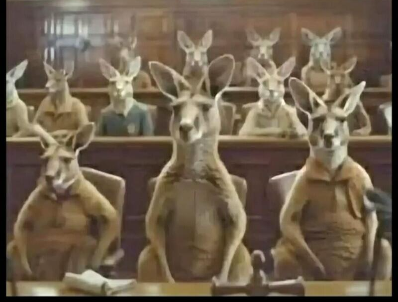 Kangaroo court Blank Meme Template