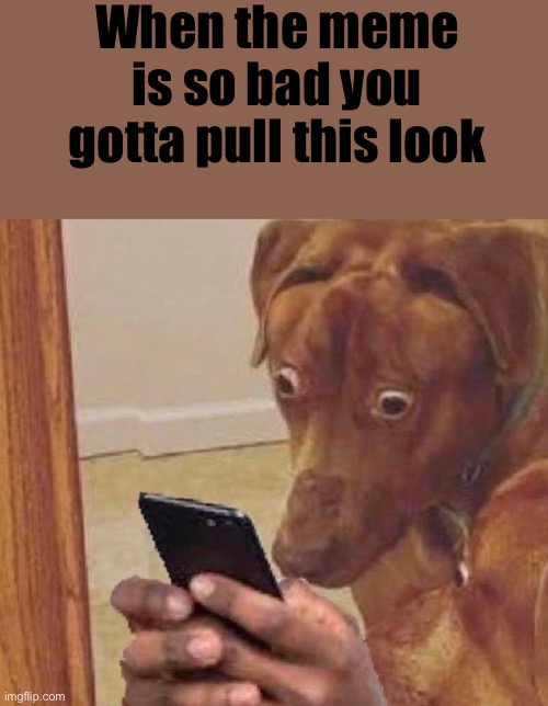 Oh no | When the meme is so bad you gotta pull this look | image tagged in shocked dog,nah,oh wow are you actually reading these tags | made w/ Imgflip meme maker
