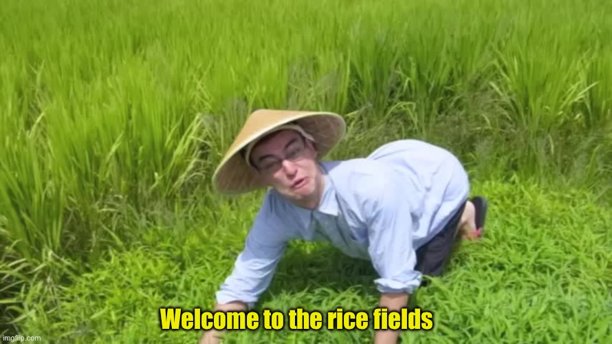 WELCOME TO THE RICE FIELDS | Welcome to the rice fields | image tagged in welcome to the rice fields | made w/ Imgflip meme maker