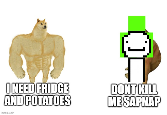 technoblade never DIES | I NEED FRIDGE AND POTATOES; DONT KILL ME SAPNAP | image tagged in then vs now | made w/ Imgflip meme maker
