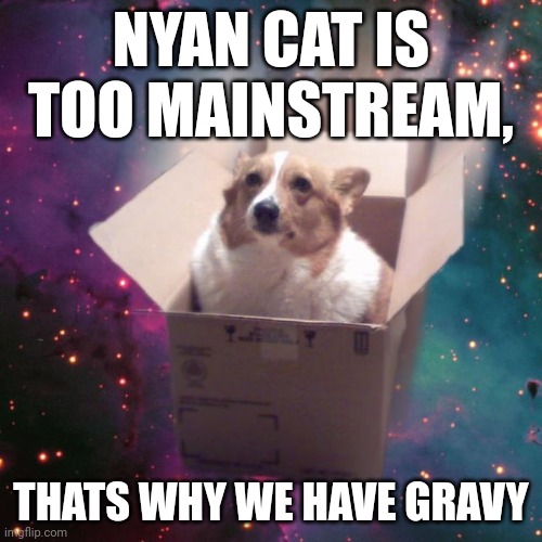 "gravy" | NYAN CAT IS TOO MAINSTREAM, THATS WHY WE HAVE GRAVY | image tagged in gravy | made w/ Imgflip meme maker