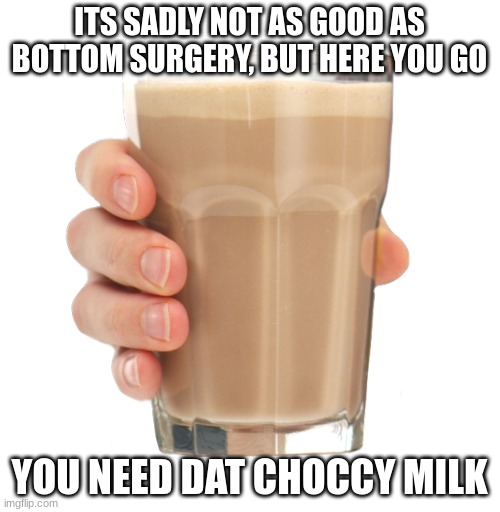 Choccy Milk | ITS SADLY NOT AS GOOD AS BOTTOM SURGERY, BUT HERE YOU GO YOU NEED DAT CHOCCY MILK | image tagged in choccy milk | made w/ Imgflip meme maker