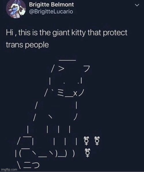 Also the non-binary and other folks :> | image tagged in lgbt,transgender,non-binary,cat | made w/ Imgflip meme maker