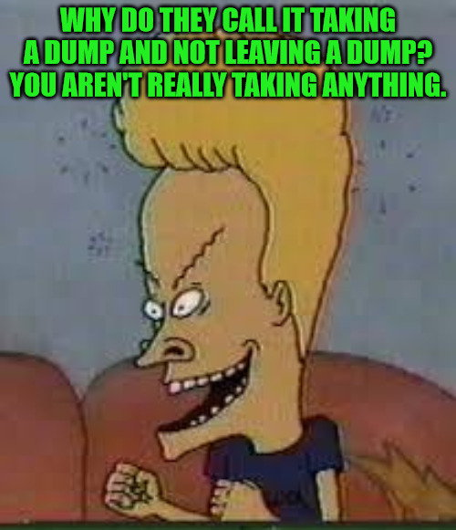 Beavis Logic | WHY DO THEY CALL IT TAKING A DUMP AND NOT LEAVING A DUMP? YOU AREN'T REALLY TAKING ANYTHING. | image tagged in beavis | made w/ Imgflip meme maker