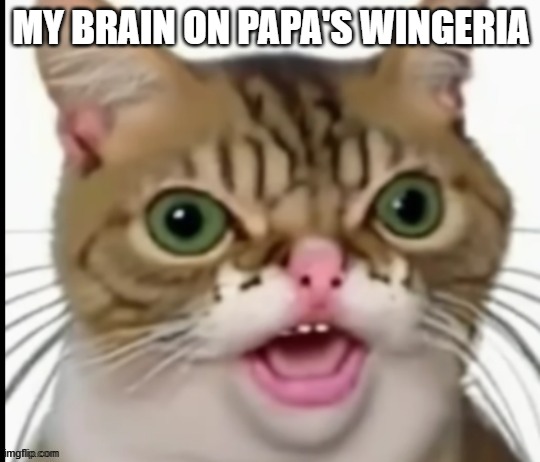 MY BRAIN ON PAPA'S WINGERIA | image tagged in cursed image | made w/ Imgflip meme maker