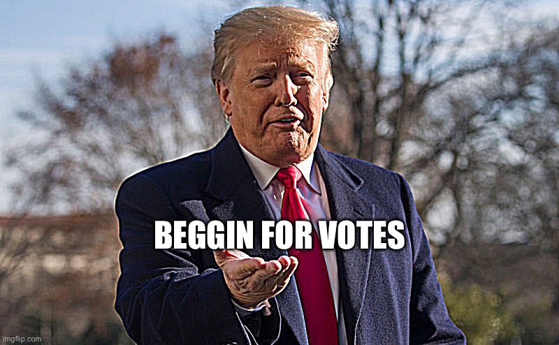 Vote for Me | BEGGIN FOR VOTES | image tagged in donald trump,funny meme,politics | made w/ Imgflip meme maker