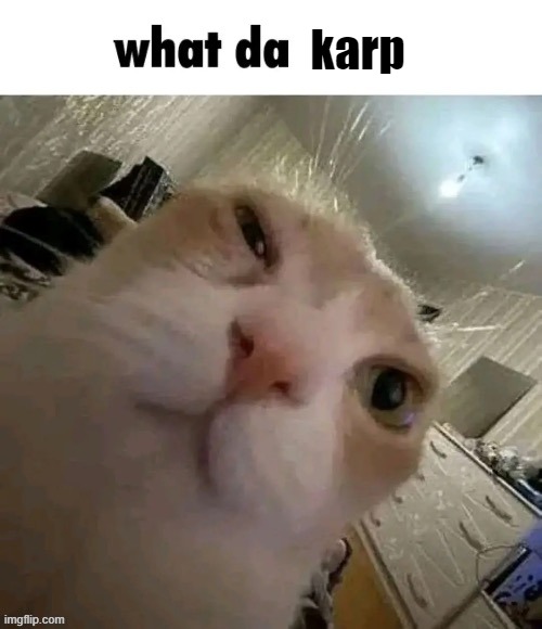 What da tuna? | karp | image tagged in what da tuna | made w/ Imgflip meme maker