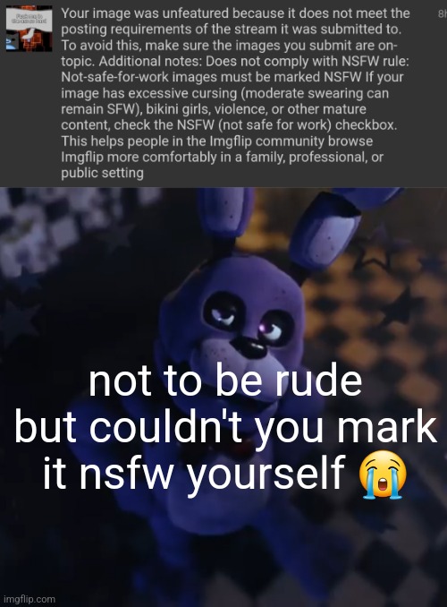 not to be rude but couldn't you mark it nsfw yourself 😭 | image tagged in goofster | made w/ Imgflip meme maker