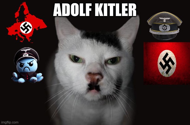ADOLF KITLER | ADOLF KITLER | image tagged in kitler | made w/ Imgflip meme maker