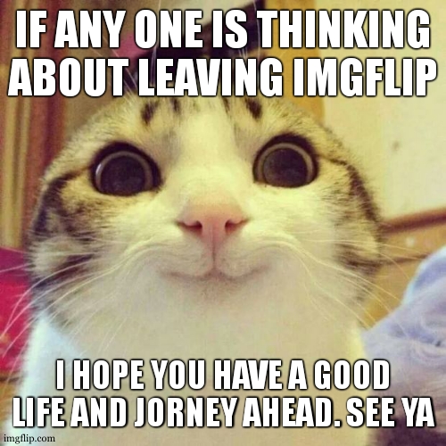 good luck and good bye | IF ANY ONE IS THINKING ABOUT LEAVING IMGFLIP; I HOPE YOU HAVE A GOOD LIFE AND JORNEY AHEAD. SEE YA | image tagged in memes,smiling cat | made w/ Imgflip meme maker