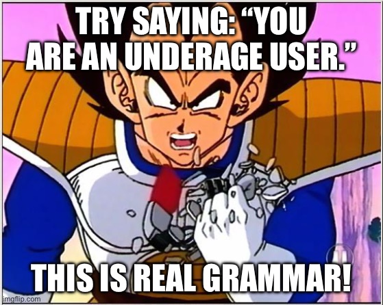 Vegeta over 9000 | TRY SAYING: “YOU ARE AN UNDERAGE USER.” THIS IS REAL GRAMMAR! | image tagged in vegeta over 9000 | made w/ Imgflip meme maker