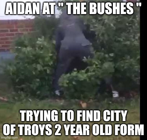 fortnit bush | AIDAN AT " THE BUSHES "; TRYING TO FIND CITY OF TROYS 2 YEAR OLD FORM | image tagged in fortnit bush | made w/ Imgflip meme maker