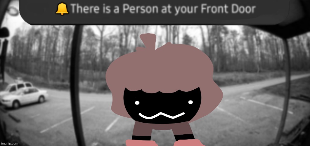 There is a person at your front door ( night ) | image tagged in there is a person at your front door night | made w/ Imgflip meme maker