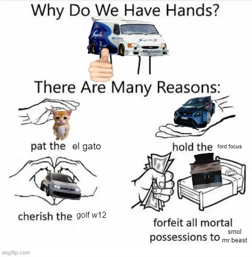 Why do we have hands? (all blank) | el gato; ford focus; golf w12; smol mr.beast | image tagged in why do we have hands all blank | made w/ Imgflip meme maker