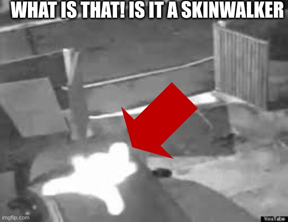i found this on my cams and its on my car! | WHAT IS THAT! IS IT A SKINWALKER | image tagged in horror | made w/ Imgflip meme maker