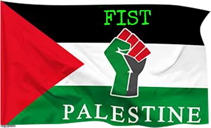 American citizens above all | FIST | image tagged in palestine,israel,iran,saudi arabia,arab,jew | made w/ Imgflip meme maker