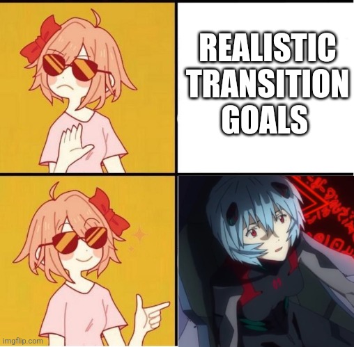 Rei Ayanami transition | REALISTIC TRANSITION GOALS | image tagged in sayori drake,transgender | made w/ Imgflip meme maker