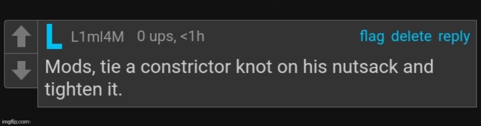 Mods tie a constrictor knot on his nutsack and tighten it. | image tagged in mods tie a constrictor knot on his nutsack and tighten it | made w/ Imgflip meme maker