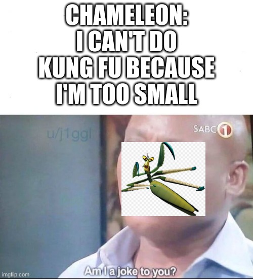 Chameleon has no excuse to be an antagonist. (Kung Fu Panda 4) | CHAMELEON: I CAN'T DO KUNG FU BECAUSE I'M TOO SMALL | image tagged in am i joke to you | made w/ Imgflip meme maker