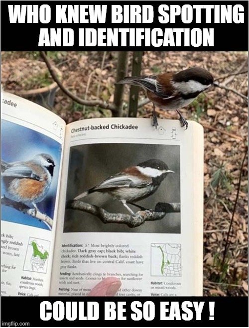 It's A Simple Past Time ! | WHO KNEW BIRD SPOTTING
 AND IDENTIFICATION; COULD BE SO EASY ! | image tagged in bird watching,book,easy | made w/ Imgflip meme maker