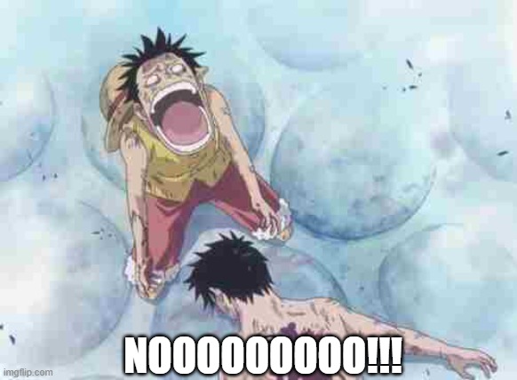 Dead chat one piece | NOOOOOOOOO!!! | image tagged in dead chat one piece | made w/ Imgflip meme maker